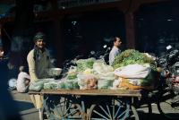 Mobile fruit market