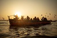 Ganges birds